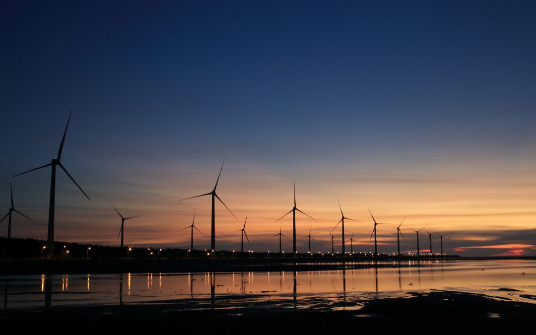 Why You Should Immediately Go A Day Without Electricity