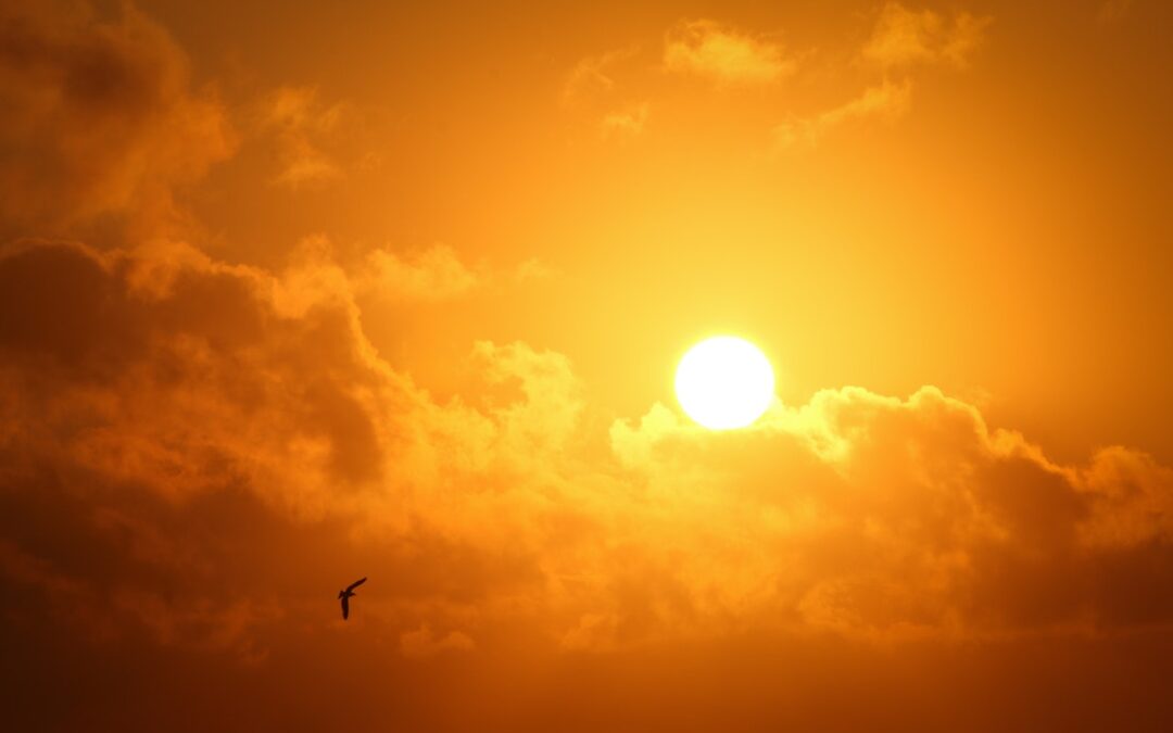 4 Ways To Harness The Power Of The Sun